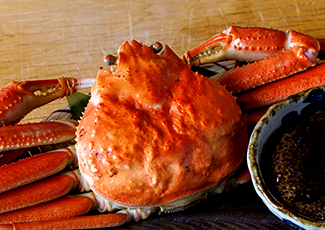 食材